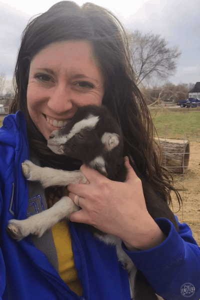 Behind the Scenes: March 2019 – A quick recap of some of the homestead happenings that occurred on the Zenstead this month!