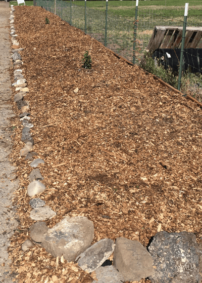 Weed mat covered in wood mulch to help control weeds