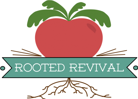 Mason Jar Soil Test And Why You NEED To Do It 2024 Rooted Revival