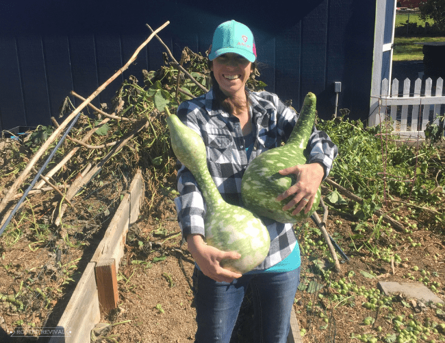A woman in jeans, a flannel shirt and a blue hat holds two very large gourds and smiles.