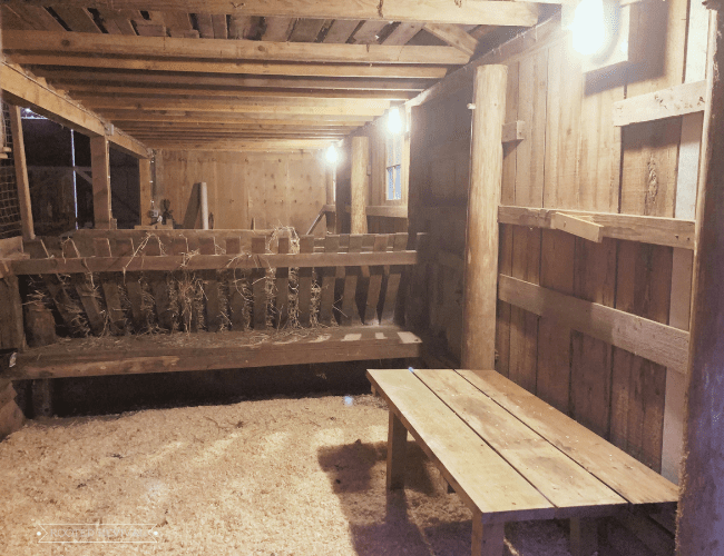 A goat pen build inside of a barn. The walls are wood, there is a large wood feeder and a wooden sleeping bench.