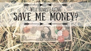 homesteading save money