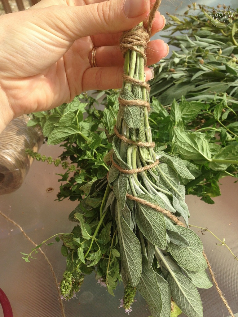 Hand holding a bundle of herbs wrapped in twine.