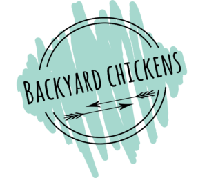 Backyard Chickens