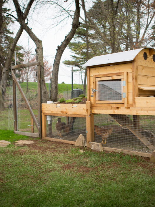 chicken coop hacks