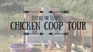 chicken coop tour