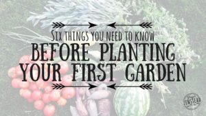 before planting your first garden