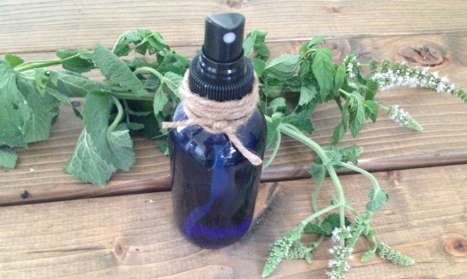 This DIY insect repellant is made by making a strong mint infusion and combining it with essential oils.