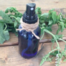 This DIY insect repellant is made by making a strong mint infusion and combining it with essential oils.