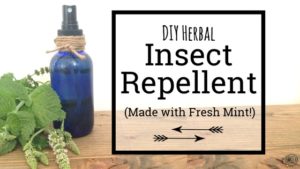 Herbal Mint Insect Repellent