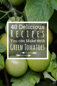 40+ delicious recipes you can make with green tomatoes