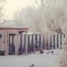 winter chicken coop tips