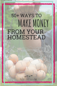 50+ ways to make money from your homestead!