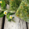 This easy to make soap uses dried herbs from the garden!