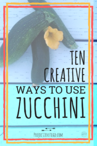 Ten creative ways to use all that zucchini!
