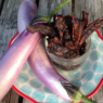 Eggplant jerky is a healthy & yummy snack and a great way to use extra eggplants from your garden! And, yes, it actually tastes like real jerky!