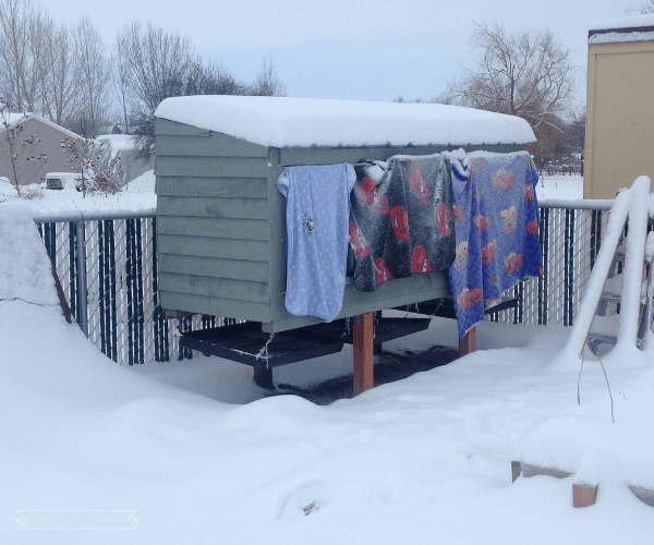 30+ Winter Homestead Essentials to Have on Hand - Mama on the Homestead