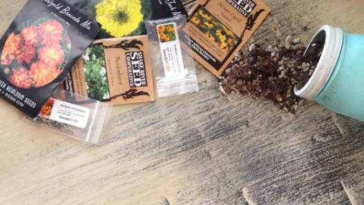 Get the scoop on my three favorite companies for high-quality, non-GMO heirloom seeds!