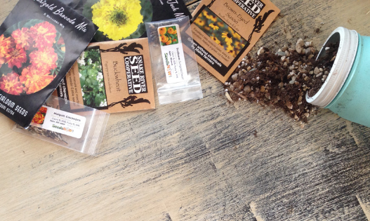 Get the scoop on my three favorite companies for high-quality, non-GMO heirloom seeds!