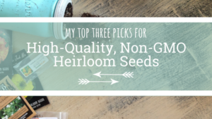 Wondering where to order seeds for your garden? Get the scoop on my three favorite companies for high-quality, non-GMO heirloom seeds!