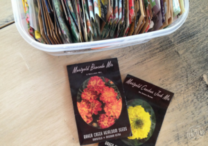 Wondering where to order seeds for your garden? Get the scoop on my three favorite companies for high-quality, non-GMO heirloom seeds!