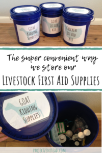Use five gallon buckets to store animal first aid supplies