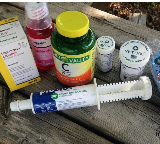 Stocking a first aid kit will help you be more prepared for a goat emergency, illness or injury. Here's what we keep in our goat first aid kit!