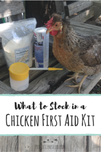 Assembling a chicken first aid kit will allow you to be more prepared and take better care of your flock when an accident or injury happens.
