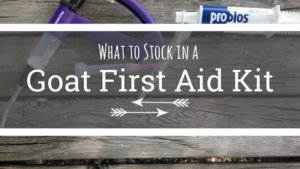 Stocking a first aid kit will help you be more prepared for a goat emergency, illness or injury. Here's what we keep in our goat first aid kit!