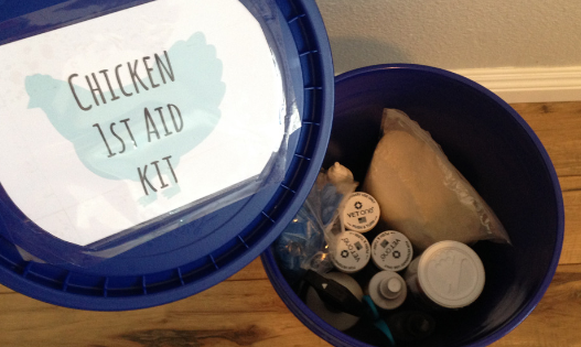 How to Stock a Chicken First Aid Kit + Full List of Supplies