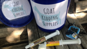 How to stock your goat kidding kit and be prepared for kidding season, including a full list of supplies!