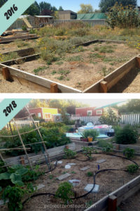 We revived our abandoned and overgrown garden using all-natural, no-till garden practices to create a beautiful and productive garden within a year!
