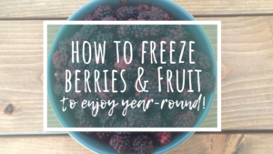 Learn how to freeze fresh fruit and berries to enjoy  summer's goodness all year long!