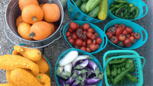 How much food can you grow on less than an acre?