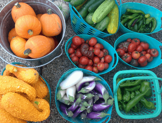 How much food can you grow on less than an acre?