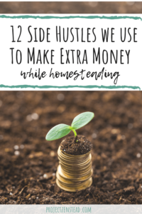 12 side hustles we actually use to make extra money while homesteading