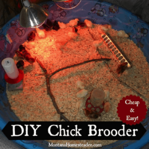 12 DIY chick brooders you can build this weekend!
