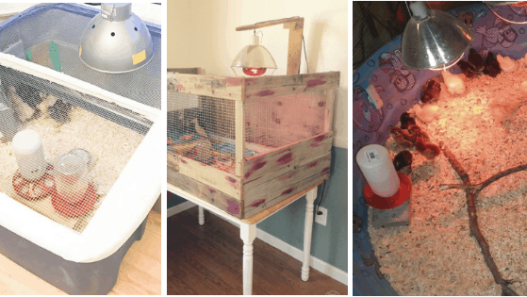 12 DIY chick brooders you can build this weekend!