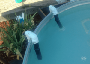 How to Create a DIY Stock Tank Pool: Hoses hooked over side of pool