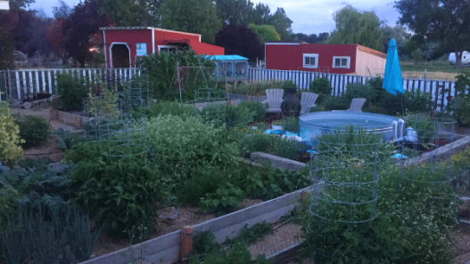 1 acre homestead layout: garden with red barn in background