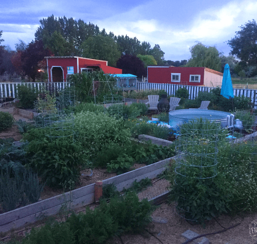 1 acre homestead layout: garden with red barn in background