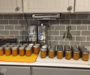 July 2019 Behind the Scenes: Jars of canned apricot salsa and sauce on counter