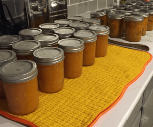 July 2019 Behind the Scenes: Jars of canned apricot sauce and salsa sitting on counter