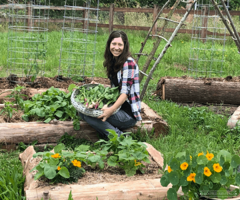 How To Make Radish Quick Pickles 2024 - Rooted Revival