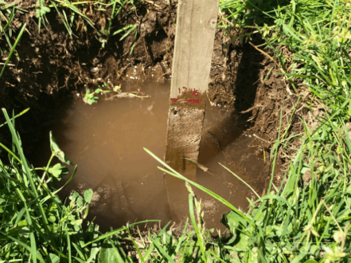 Soil Drainage: How & Why To Test It! 2024 - Rooted Revival