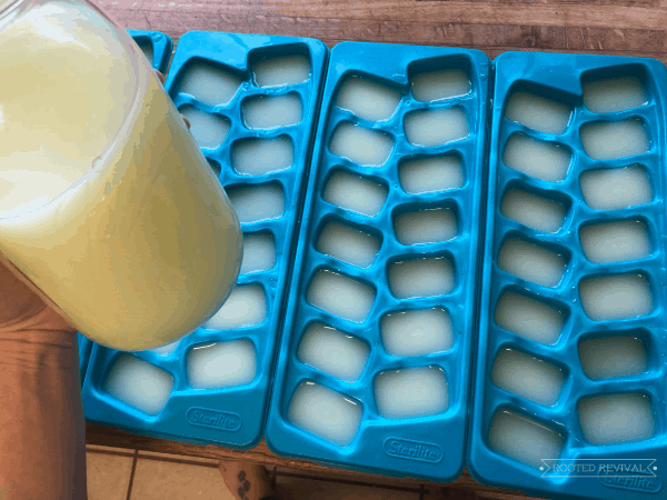 Milk Kefir Kit — Revival Homestead Supply