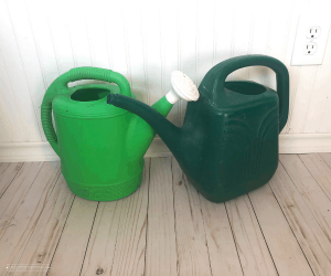Two green outdoor watering cans