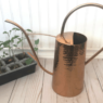 A copper watering can sitting next to a tray of seedlings