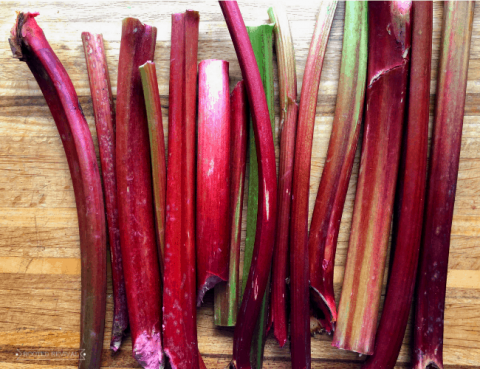 Grow It Guide: How to Grow Rhubarb! 2024 - Rooted Revival