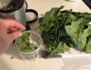 Hand placing pieces of dried greens into a bullet blender cup